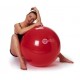 BALLON DE GYMNASTIQUE OU SWISS BALL SISSEL BALL 65 CM-2268